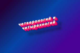 Четвероногий и четырехногий