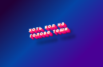 Хоть кол на голове теши