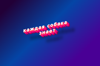 Каждая собака знает