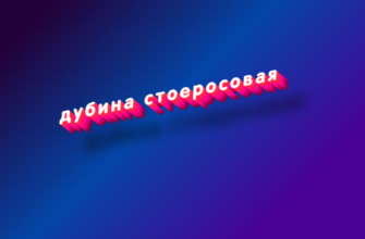 Дубина стоеросовая