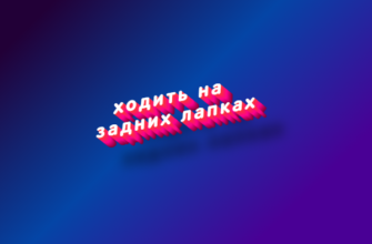 Ходить на задних лапках