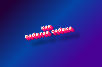 Как побитая собака
