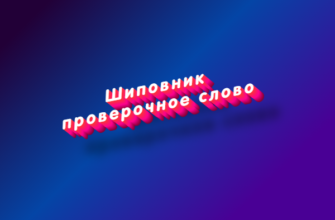 Шиповник